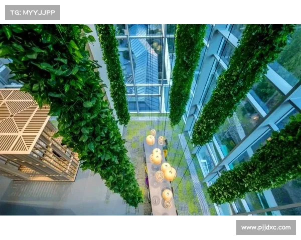 探秘2022美国MUSE设计金奖背后的创新之路与获奖秘辛